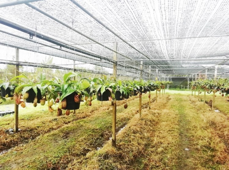 1352019 #1_๑๙๐๕๒๐_0002