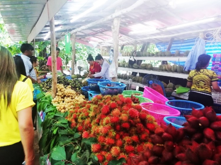 1352019 #1_๑๙๐๕๒๐_0024