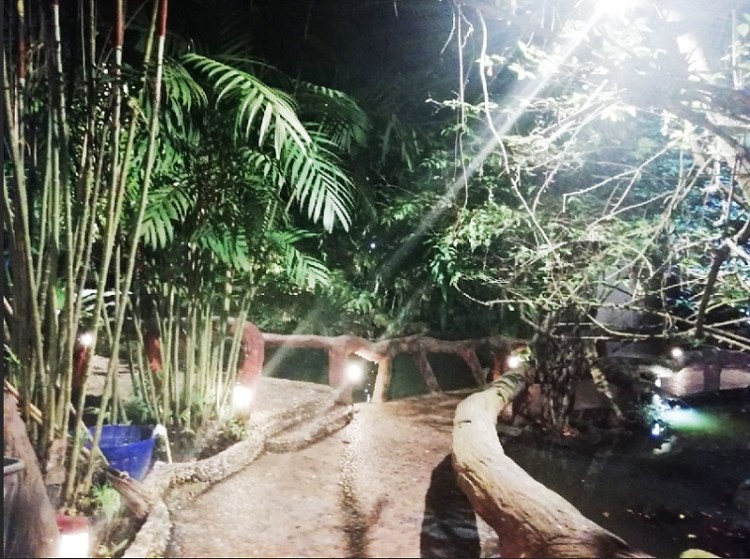 852019_๑๙๐๕๑๒_0013