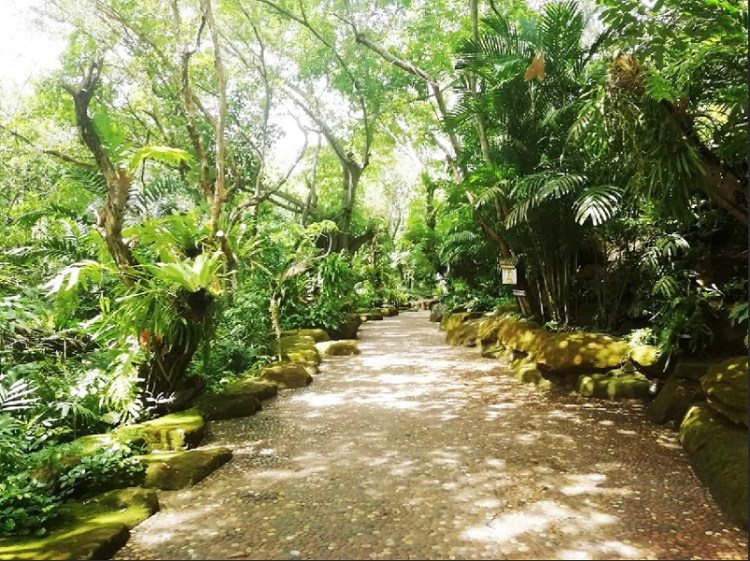 852019_๑๙๐๕๑๒_0014