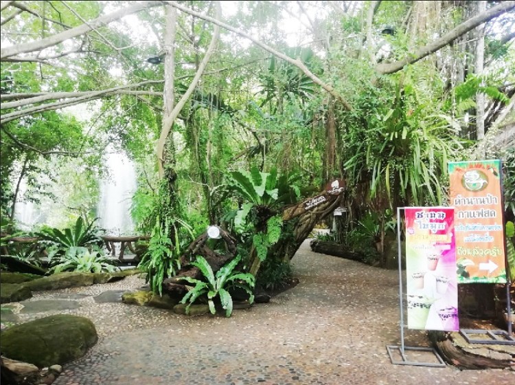 852019_๑๙๐๕๑๒_0015