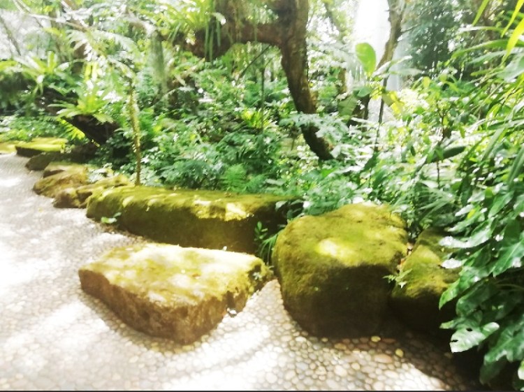 852019_๑๙๐๕๑๒_0016