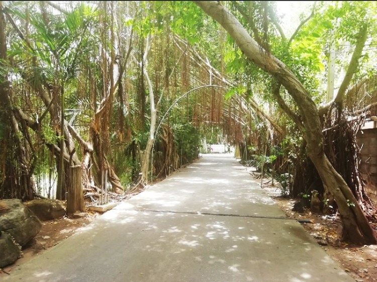 852019_๑๙๐๕๑๒_0018