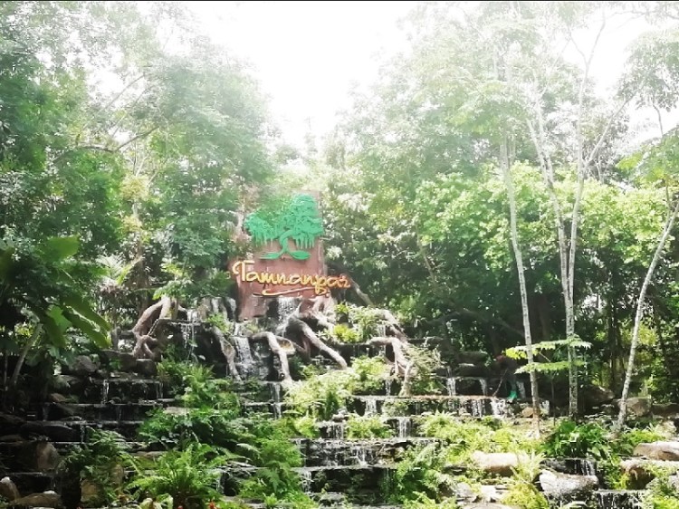 852019_๑๙๐๕๑๒_0019