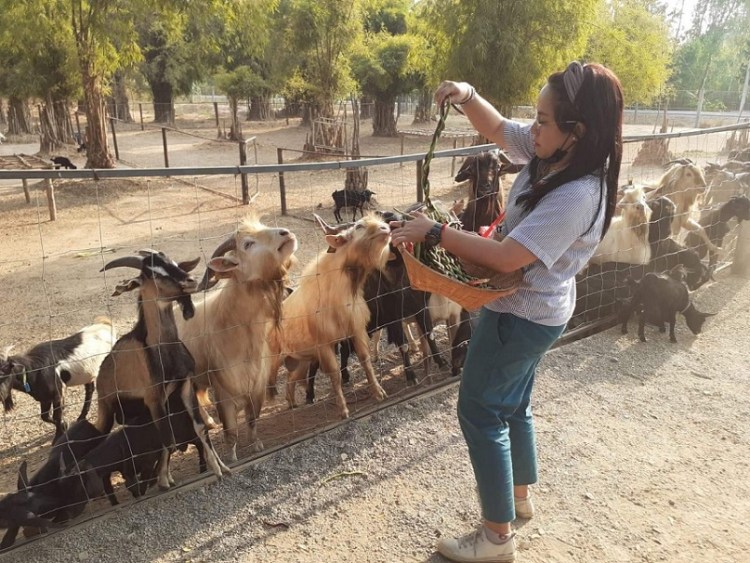 1922020_๒๐๐๒๑๙_0013