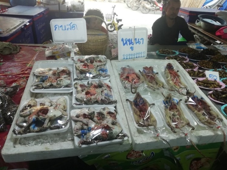 2022020 _1_๒๐๐๒๒๐_0006