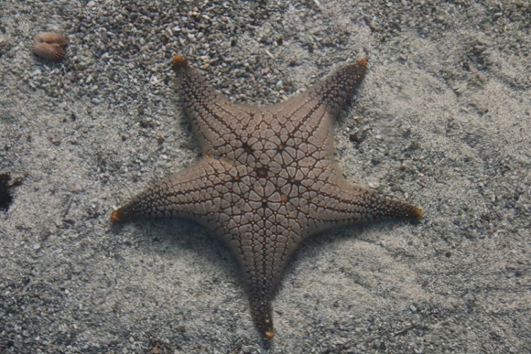 อุทยานวิทยาศาสตร์_๒๐๐๒๒๗_0016