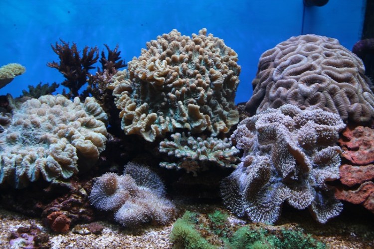 อุทยานวิทยาศาสตร์_๒๐๐๒๒๗_0019