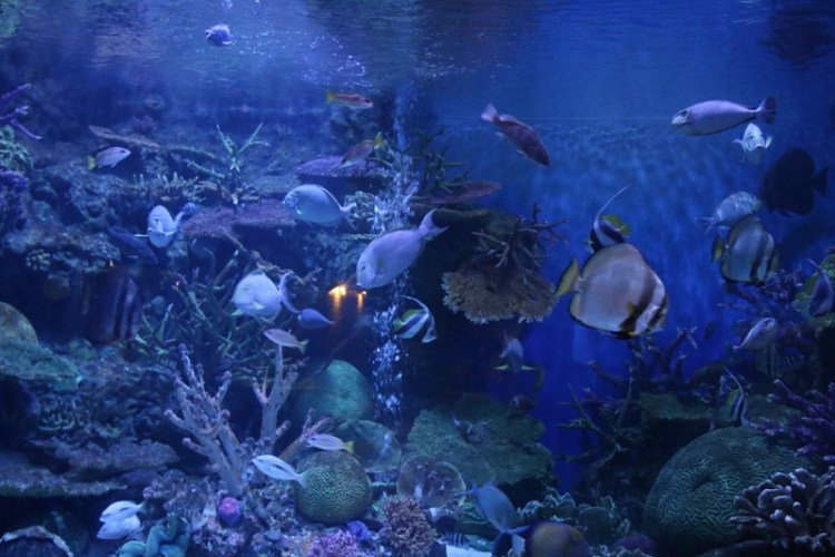 อุทยานวิทยาศาสตร์_๒๐๐๒๒๗_0022