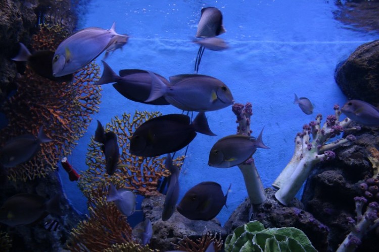 อุทยานวิทยาศาสตร์_๒๐๐๒๒๗_0023