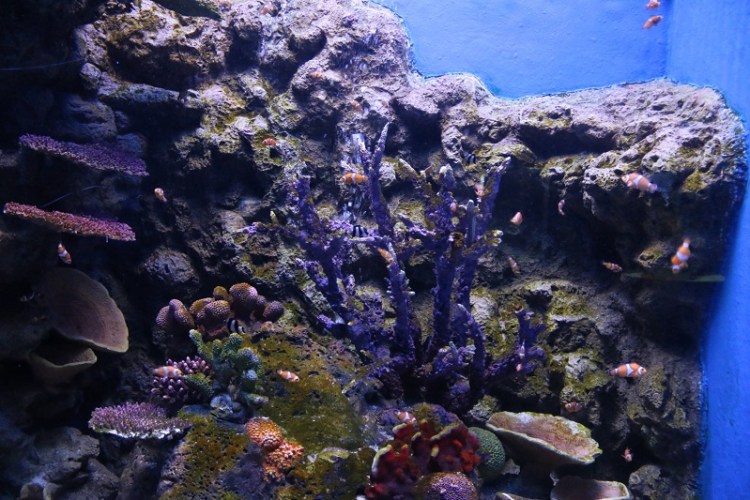 อุทยานวิทยาศาสตร์_๒๐๐๒๒๗_0024