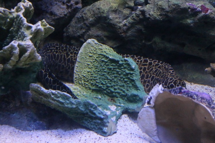 อุทยานวิทยาศาสตร์_๒๐๐๒๒๗_0027