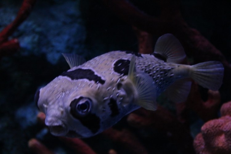 อุทยานวิทยาศาสตร์_๒๐๐๒๒๗_0029