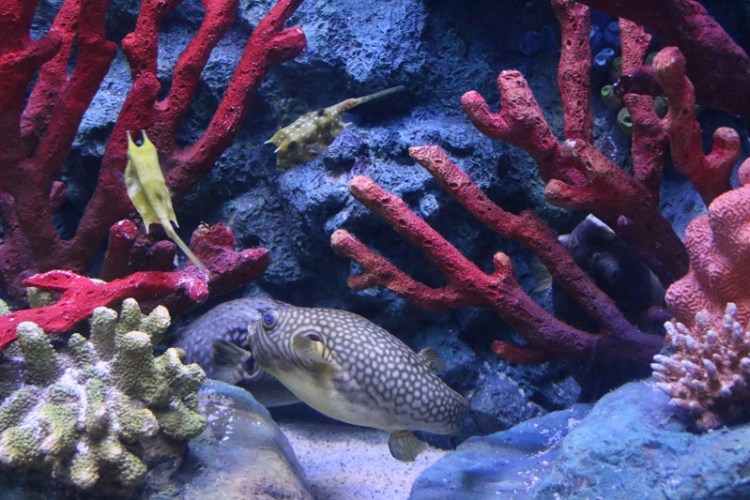 อุทยานวิทยาศาสตร์_๒๐๐๒๒๗_0030