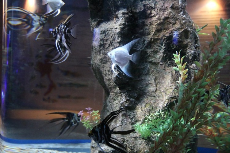 อุทยานวิทยาศาสตร์_๒๐๐๒๒๗_0033