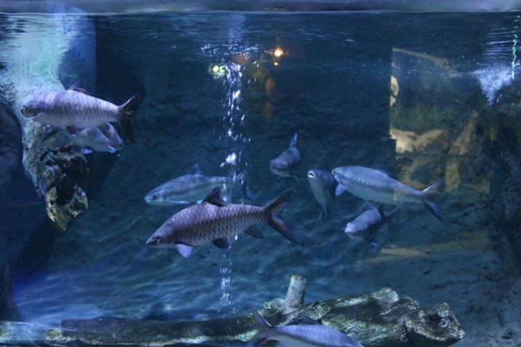 อุทยานวิทยาศาสตร์_๒๐๐๒๒๗_0036