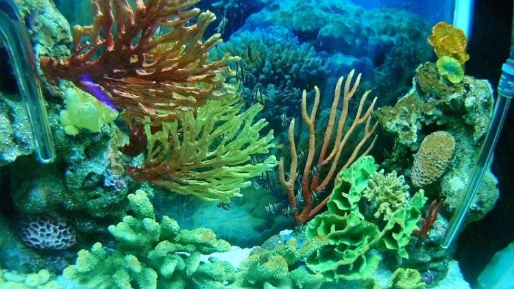 อุทยานวิทยาศาสตร์_๒๐๐๒๒๗_0055