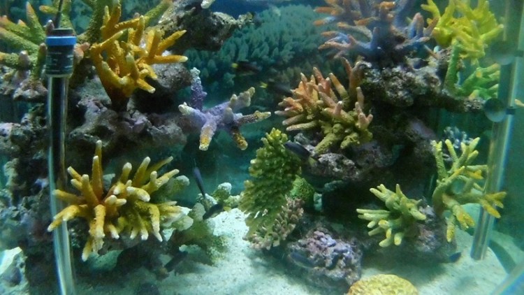 อุทยานวิทยาศาสตร์_๒๐๐๒๒๗_0056