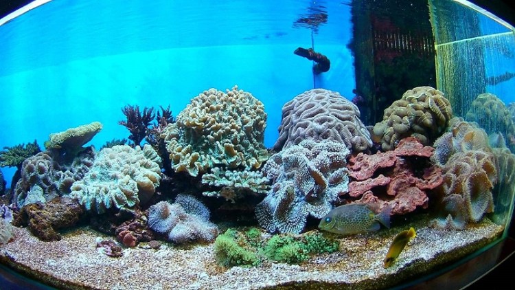 อุทยานวิทยาศาสตร์_๒๐๐๒๒๗_0057