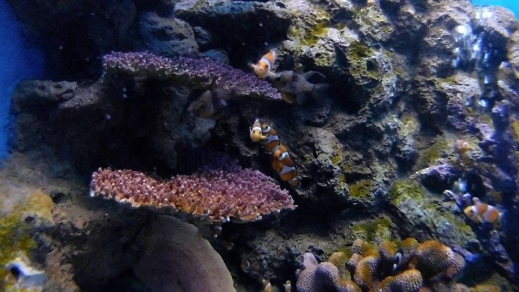 อุทยานวิทยาศาสตร์_๒๐๐๒๒๗_0058