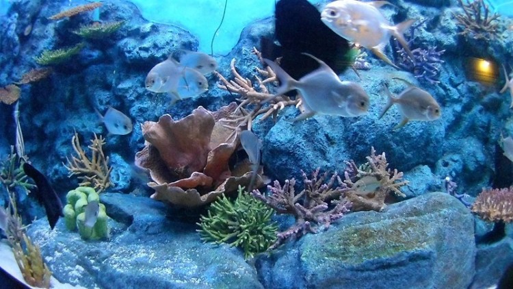 อุทยานวิทยาศาสตร์_๒๐๐๒๒๗_0060