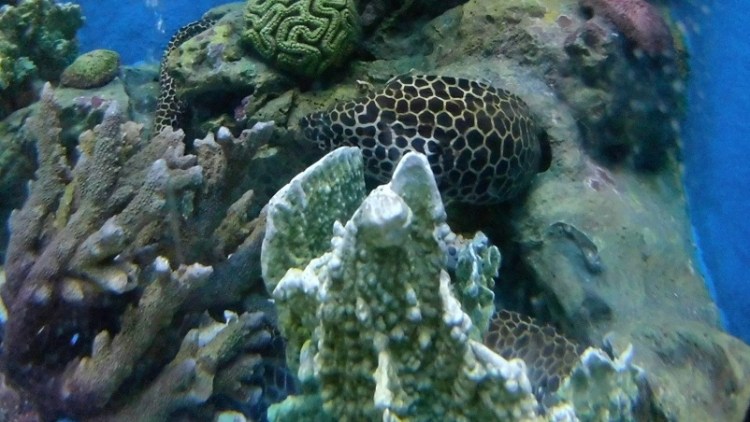 อุทยานวิทยาศาสตร์_๒๐๐๒๒๗_0061