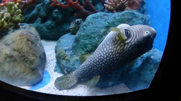 อุทยานวิทยาศาสตร์_๒๐๐๒๒๗_0062