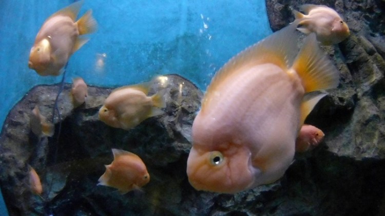 อุทยานวิทยาศาสตร์_๒๐๐๒๒๗_0063