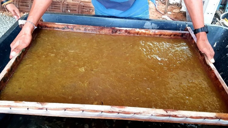 บ้านรวมไทย_๒๐๐๓๑๓_0022