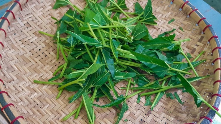 บ้านรวมไทย_๒๐๐๓๑๓_0035