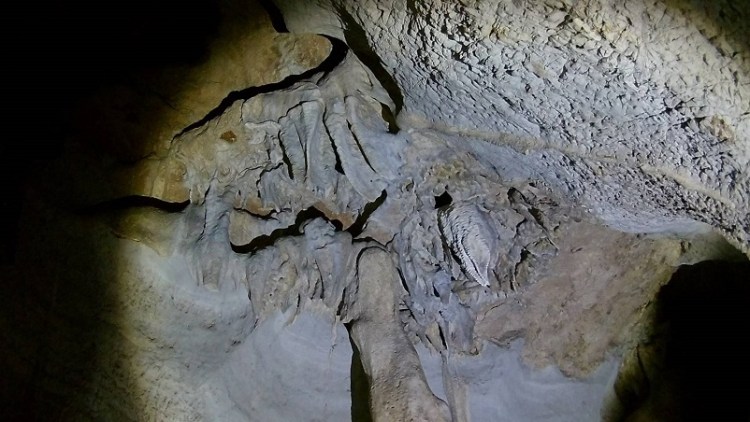 วัดหนองพลับ ถ้ำดาว_๒๐๐๓๑๓_0035