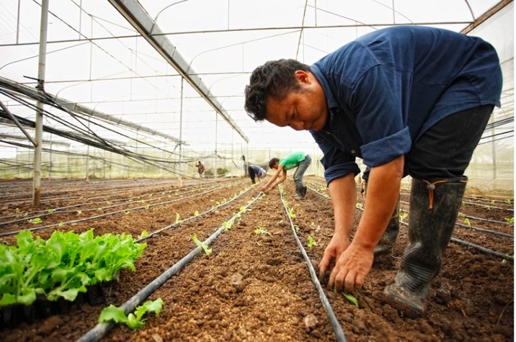 แก้วิกฤติภัยแล้งบนพื้นที่สูง 8