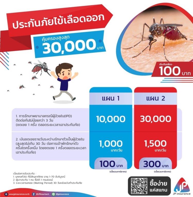 ประกันภัยไข้เลือดออก