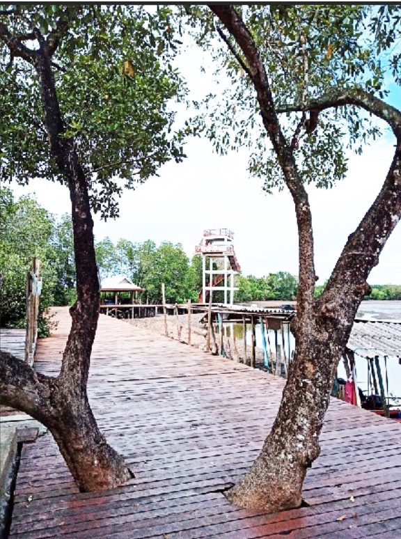 2872020_๒๐๐๗๒๘_8