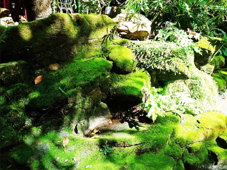 2972020_๒๐๐๗๒๙_17