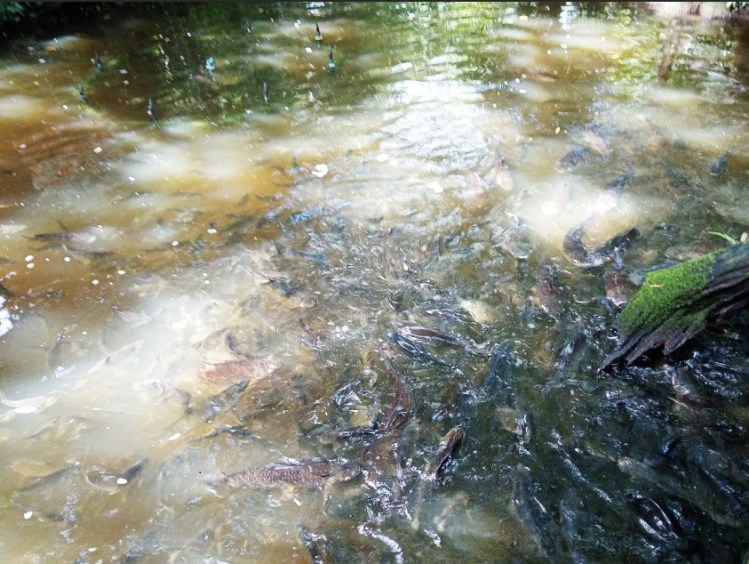 2972020_๒๐๐๗๒๙_21