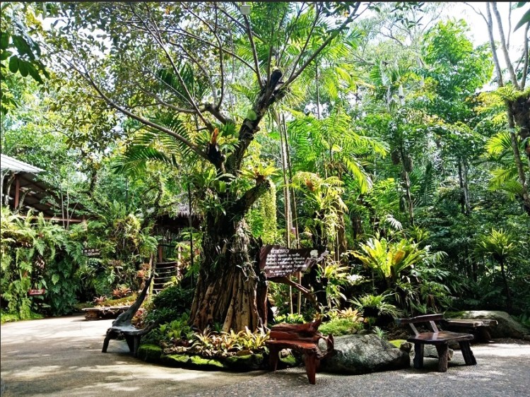 2972020_๒๐๐๗๒๙_27