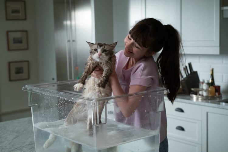 11.Nine Lives แมวเก้าชีวิตเพี้ยนสุดโลก