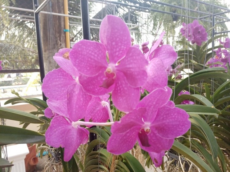 3182020_๒๐๐๙๐๑_41