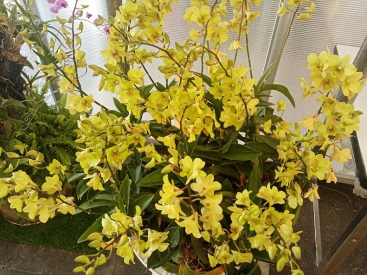 3182020_๒๐๐๙๐๑_47